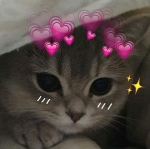 Meet your Posher, Timothy